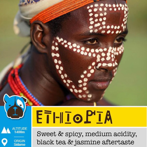 ethiopia favour cafe