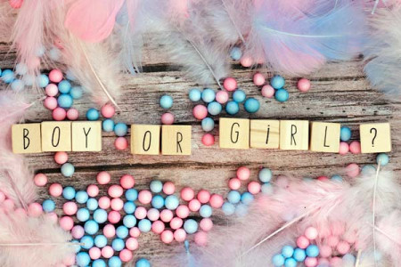 catering gender reveal party