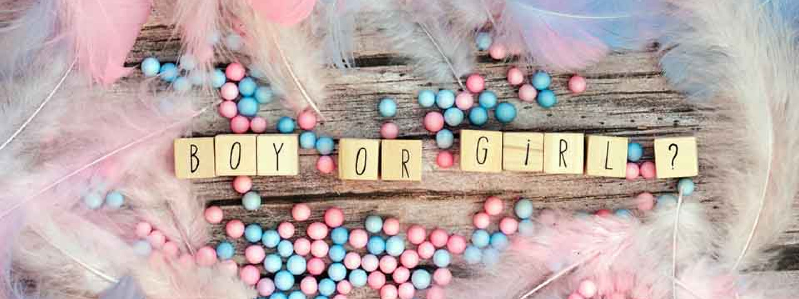 Gender Reveal Party